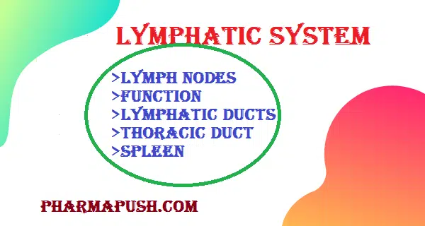 Lymphatic System