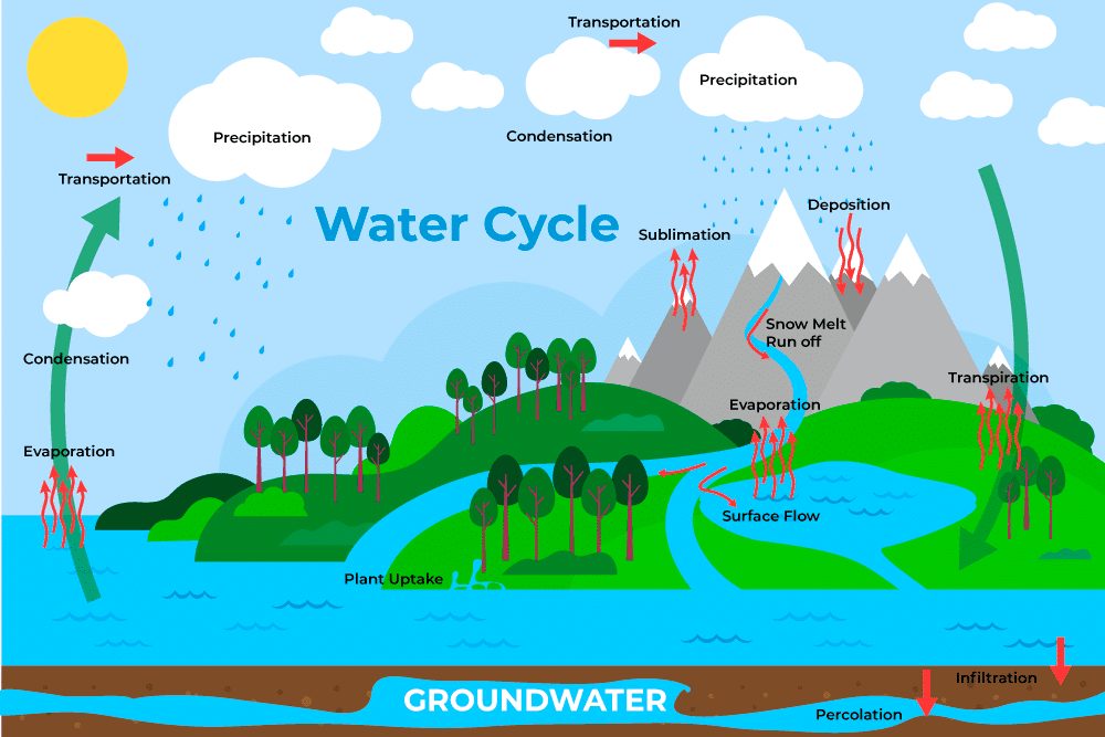 Water Cycle Process